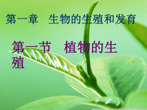 生物：711-植物的生殖和发育-公开课一等奖课件.ppt