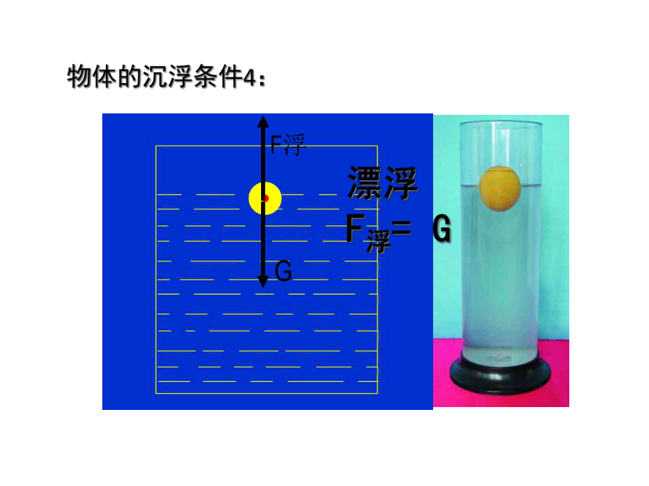 物体的浮与沉课堂使用jjjjjjjjjjjjjjjjjjjjjj-共46张课件.ppt_第3页