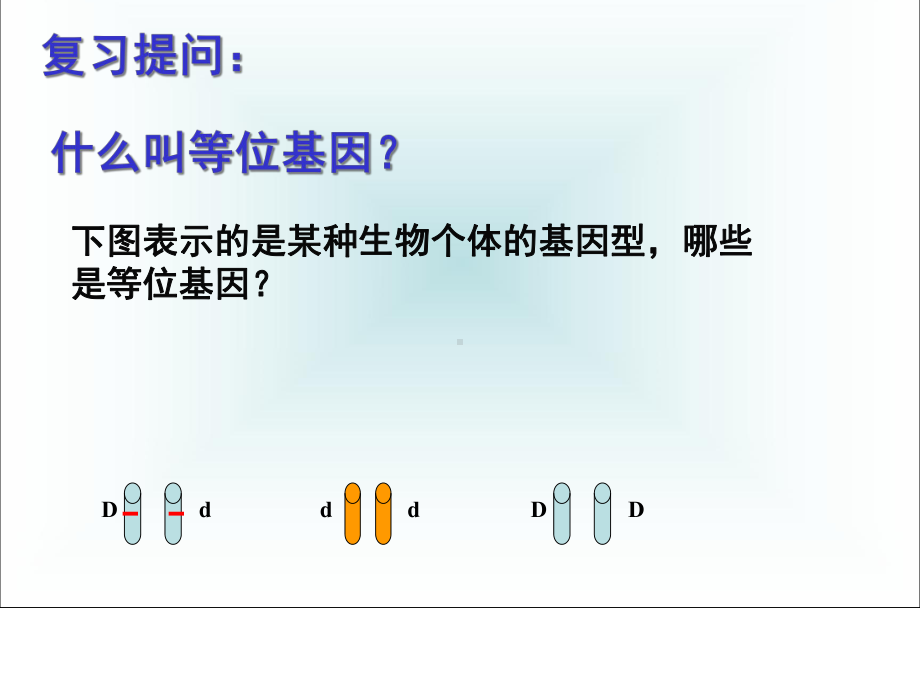 生物：基因自由组合定律-课件新人教版必修2.ppt_第2页