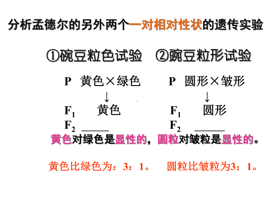 生物：基因自由组合定律-课件新人教版必修2.ppt_第3页