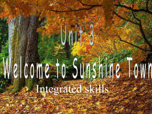 牛津译林版7B-Unit3-Welcome-to-Sunshine-Town!-Integrated-skills课件-(共29张).pptx-(课件无音视频)