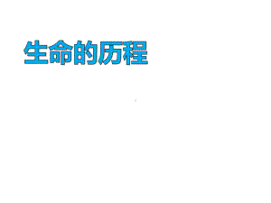 湘教版六年级科学下册《生命的历程》课件.pptx