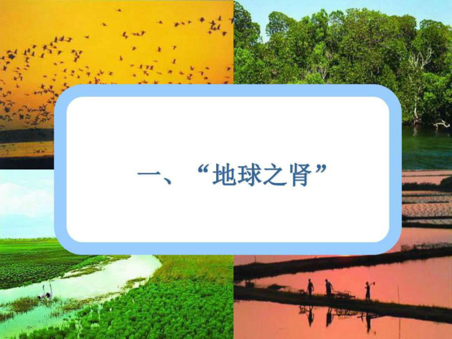 湿地洞庭湖--课件.ppt_第3页