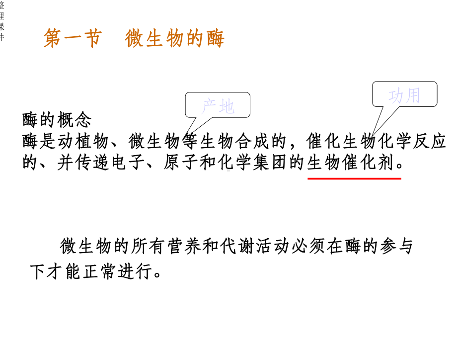 环境工程微生物学-第04章课件.ppt_第3页