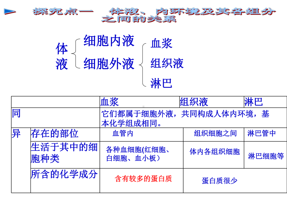 生物：第1章《人体的内环境与稳态》复习课件(新人教版必修3).ppt_第2页