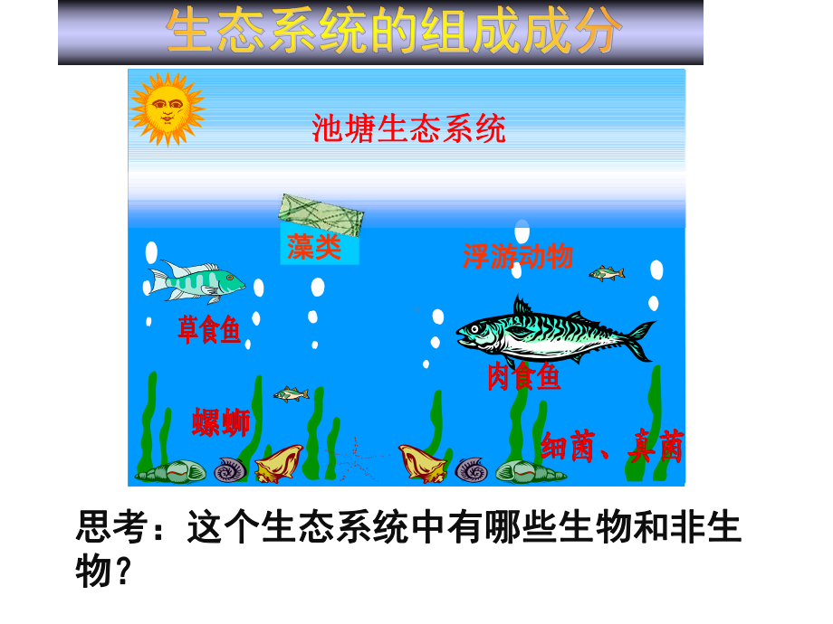 生态系统的组成课件(公开课).ppt_第2页