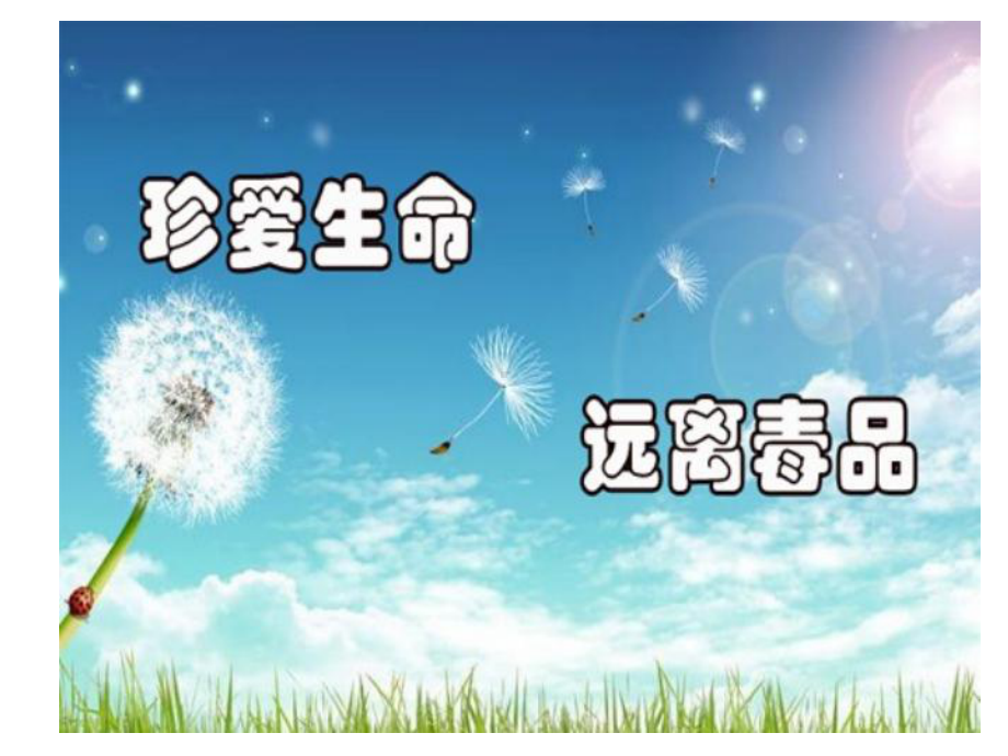 珍爱生命-远离毒品--小学生禁毒教育课件.ppt_第1页