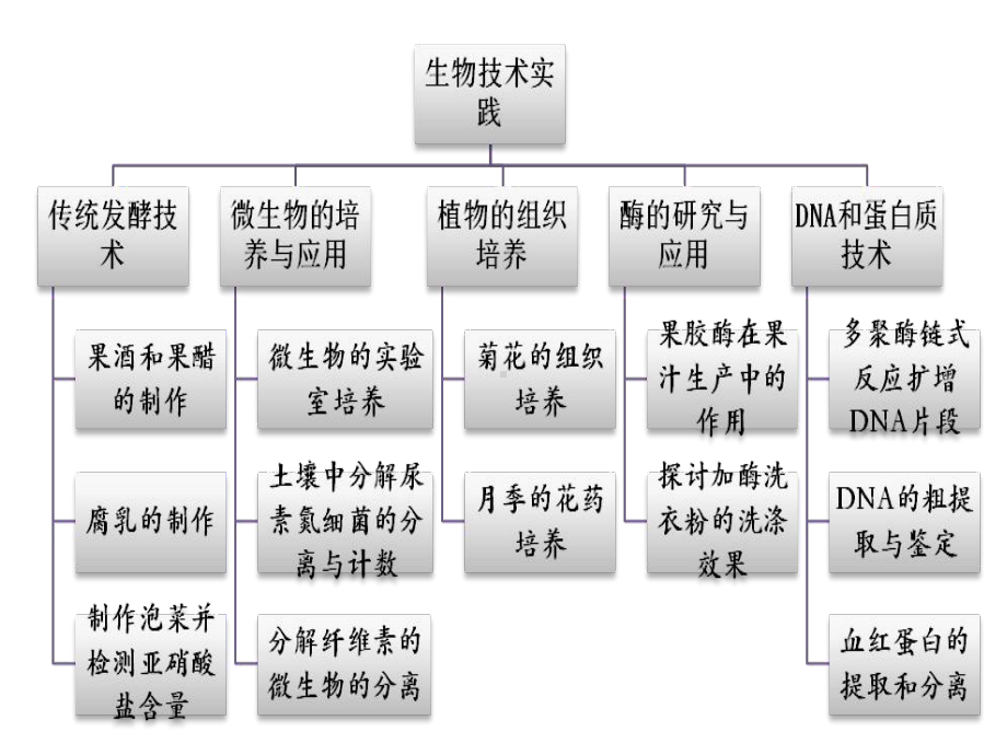 生物选修1复习-课件.ppt_第3页