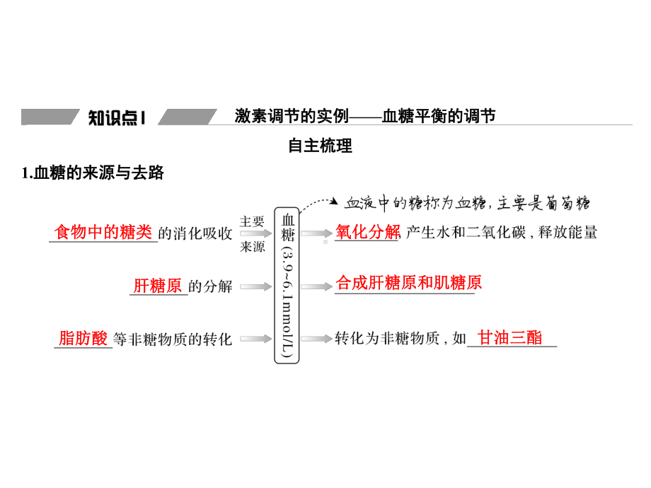 激素调节的过程课件.ppt_第3页