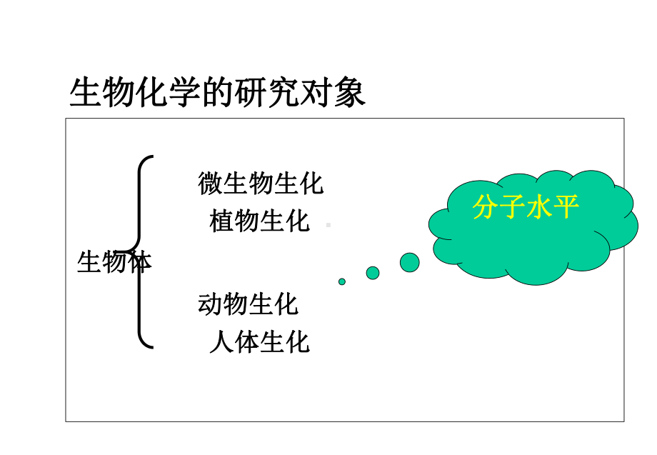 生物化学绪论(同名115)课件.ppt_第3页