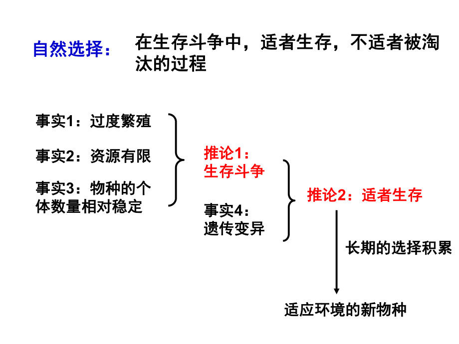 生物的进化(一轮复习课件).ppt_第3页