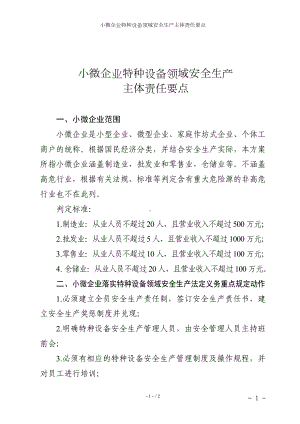 小微企业特种设备领域安全生产主体责任要点参考模板范本.doc