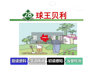 球王贝利课件4上冀教版.ppt