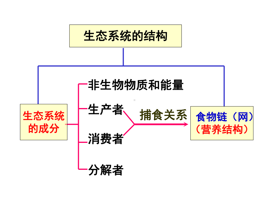 生态系统的能量流动-课件.ppt_第1页