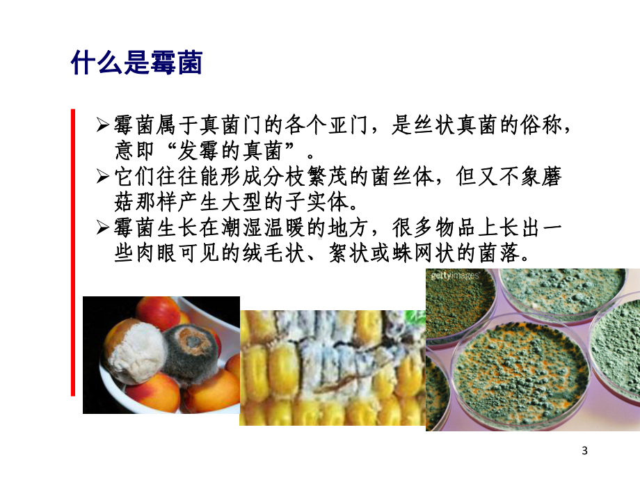 环境霉菌控制-精选课件.ppt_第3页