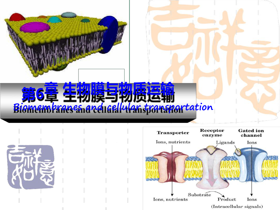 生物化学生物膜与物质运输课件.ppt_第1页