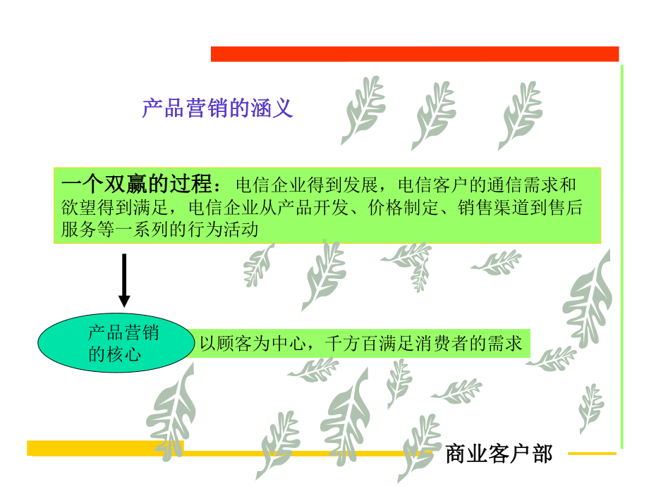 电信产品营销策略-38张课件.ppt_第3页