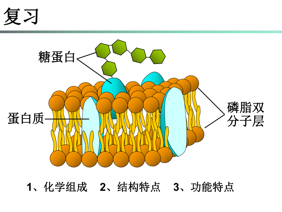 物质跨膜运输方式p课件.ppt_第1页