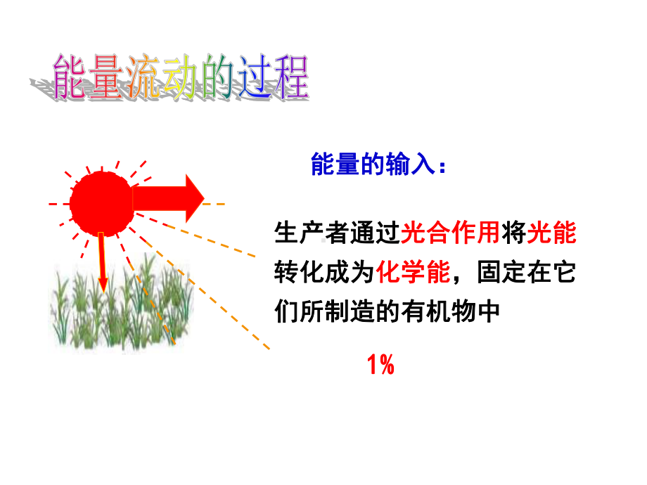 生态系统的能量流动-课件.ppt_第3页