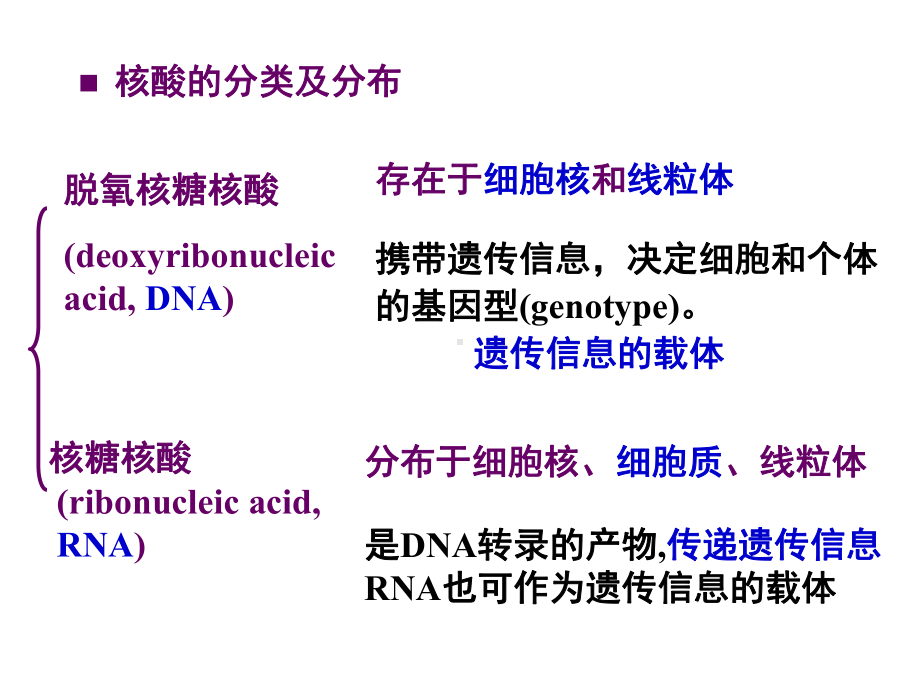 生物化学-第02章核酸的结构与功能(7版)课件.ppt_第3页