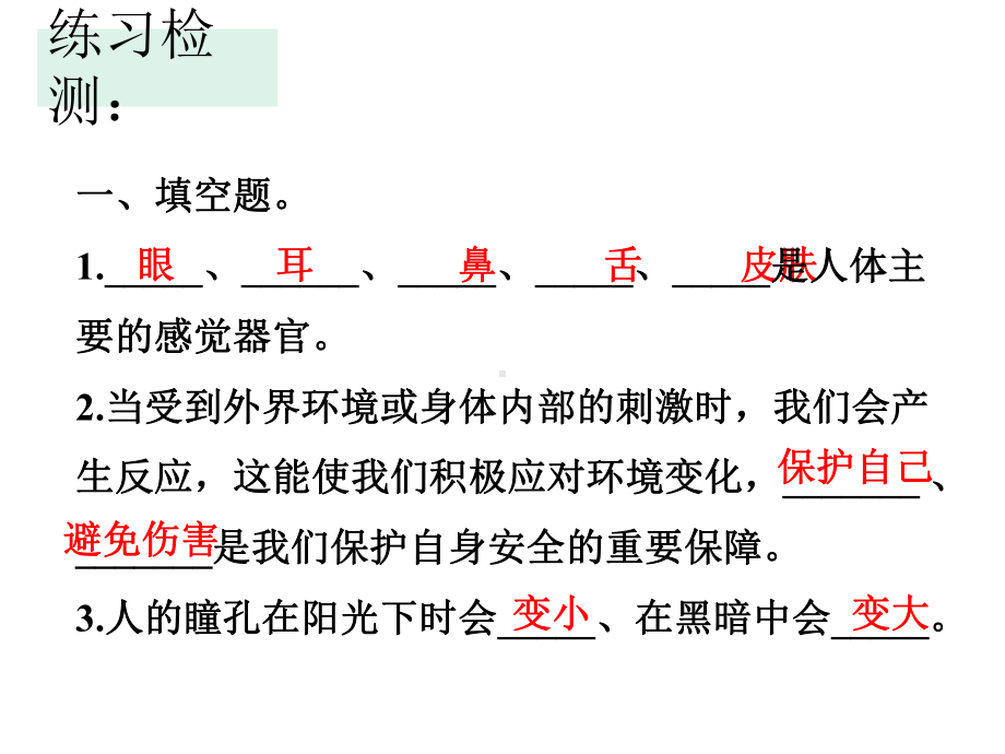 湘科版科学五年级上册第一单元我们的脑复习(课件).pptx_第3页