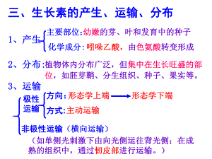 生长素的合成运输分布及生理作用(实用)课件.pptx