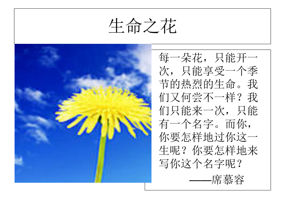 热爱生命蒙田公开课优质课件.ppt（无音视频素材）_第1页