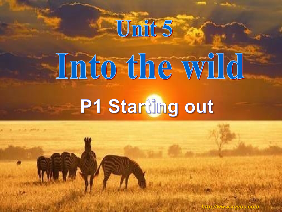 Unit 5 Into the wild Starting out（ppt课件+视频+音频）-2022新外研版（2019）《高中英语》必修第一册.rar