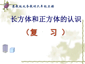 苏教版六年级数学上册《长方体和正方体的认识单元复习》课件（校级公开课）.pptx