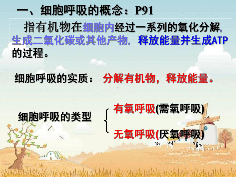 一轮复习-ATP的主要来源细胞呼吸课件.ppt_第2页