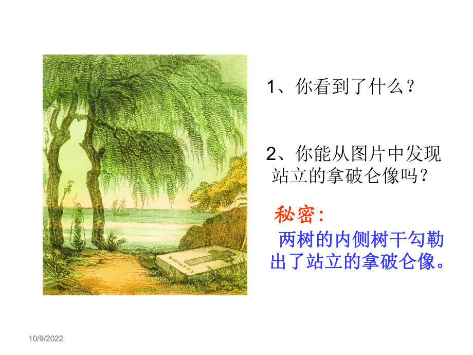 研究性学习之--观察法课件.ppt_第3页