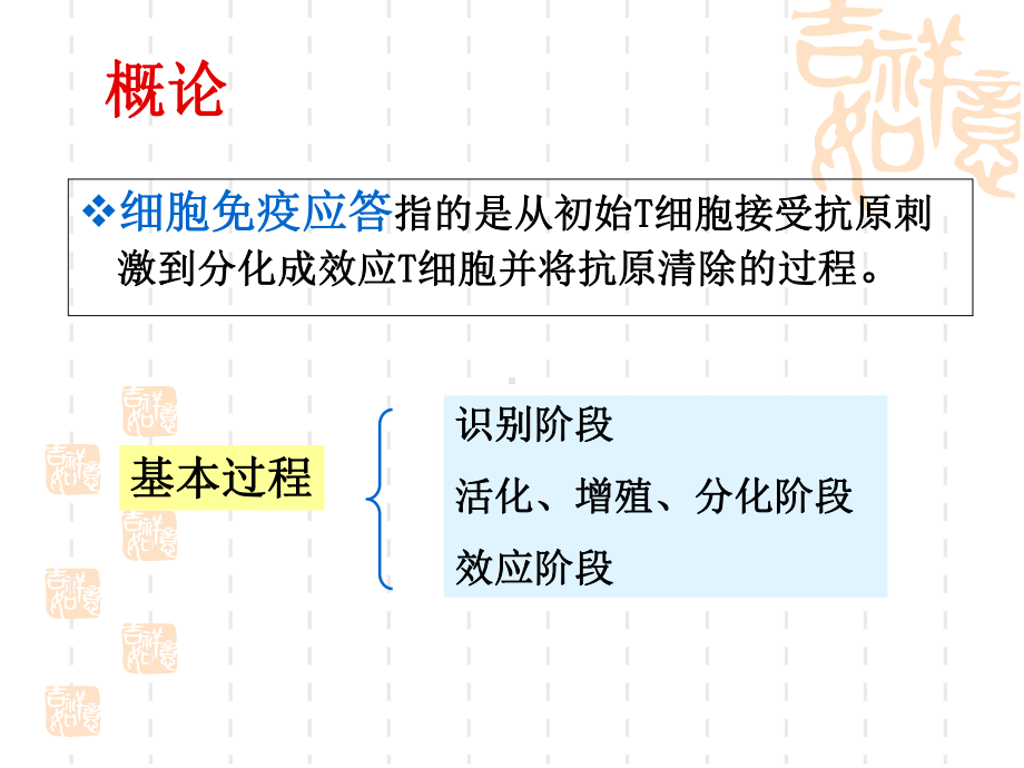 T细胞免疫应答课件-2.ppt_第3页