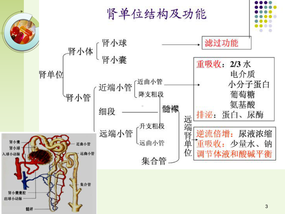 [诊断学]-常用肾功能实验室检测课件.ppt_第3页