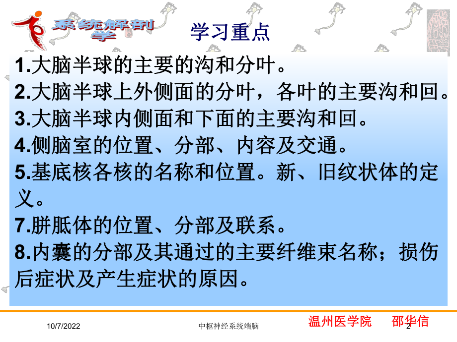 中枢神经系统端脑培训课件.ppt_第2页