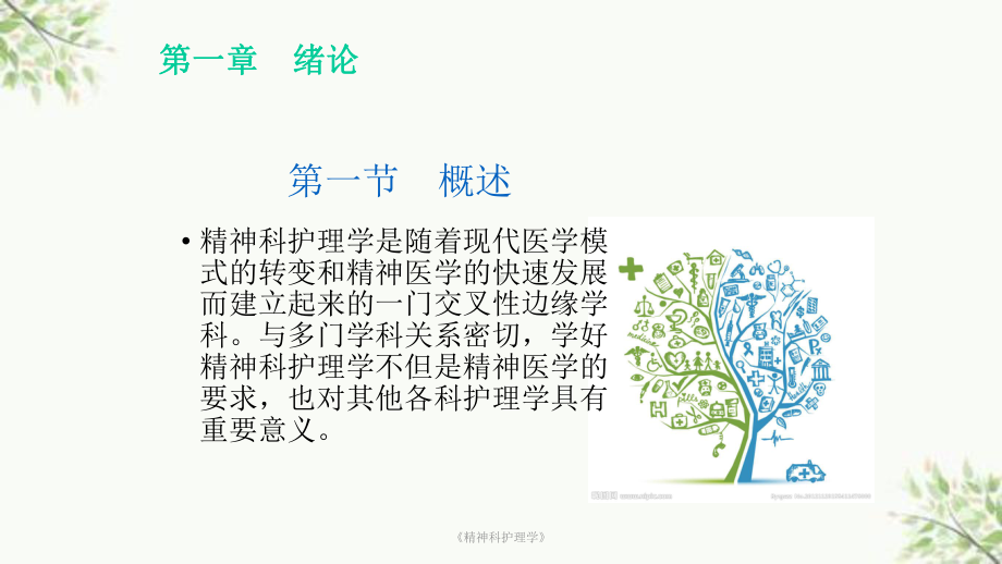 《精神科护理学》课件.ppt_第3页