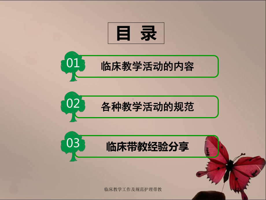 临床教学工作及规范护理带教培训课件.ppt_第2页