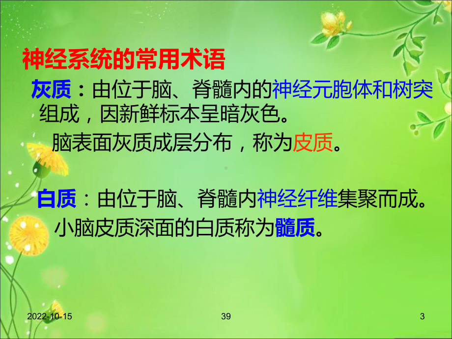 [医学]解剖生理课件-神经系统.ppt_第3页