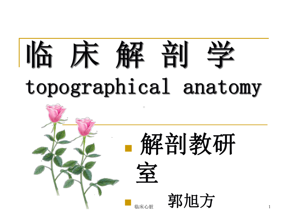 临床心脏课件.ppt_第1页