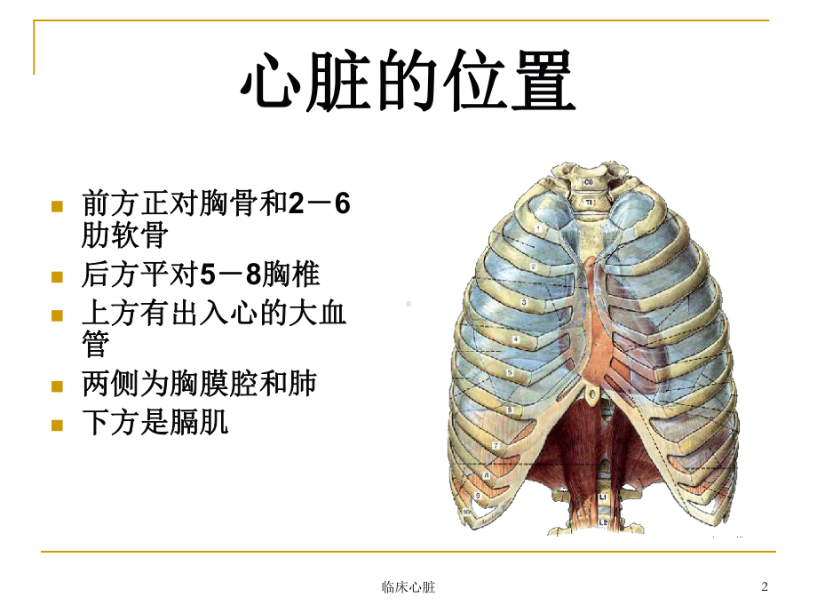 临床心脏课件.ppt_第2页