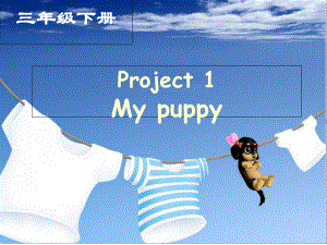 译林英语3B-Project-1-My-puppy公开课课件.ppt