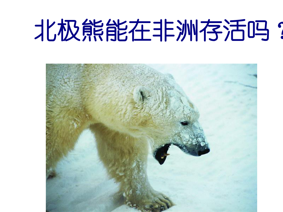 苏教版七年级上册生物与环境的关系课件.ppt_第3页