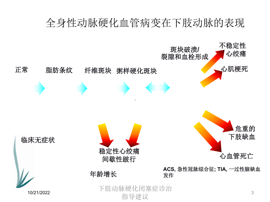 下肢动脉硬化闭塞症诊治指导建议培训课件.ppt_第3页