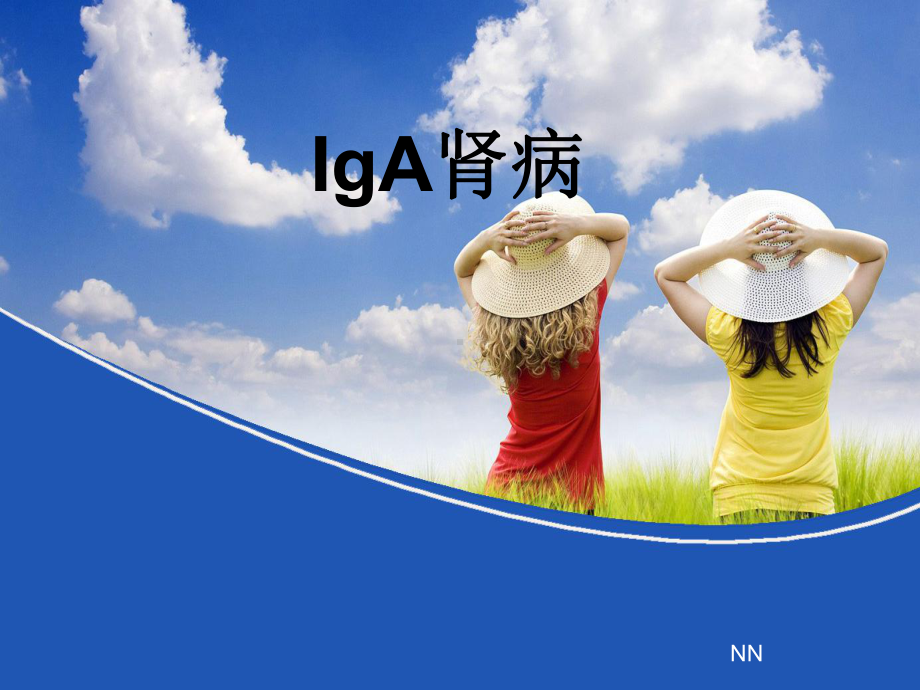 IgA肾病分类课件.ppt_第1页