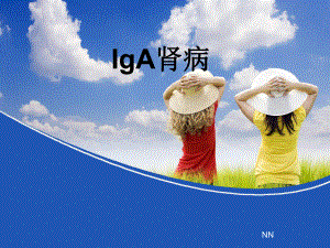 IgA肾病分类课件.ppt