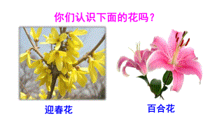 《花之歌》优课一等奖创新课件.pptx