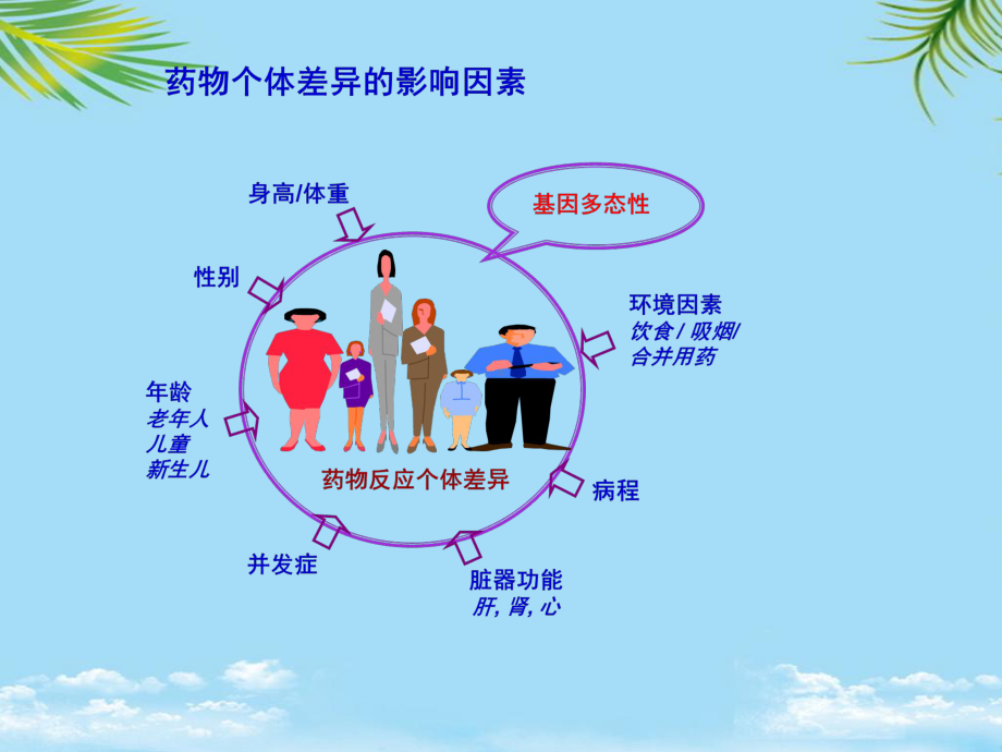 个体化医学的临床应用课件.ppt_第3页