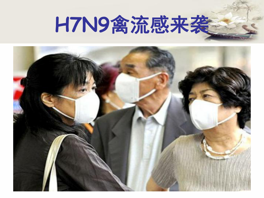 H7N9禽流感防控知识课件.ppt_第2页