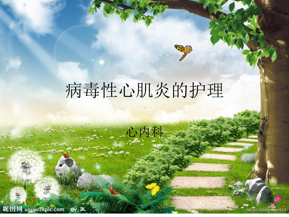 病毒性心肌炎的护理1-课件.ppt_第1页