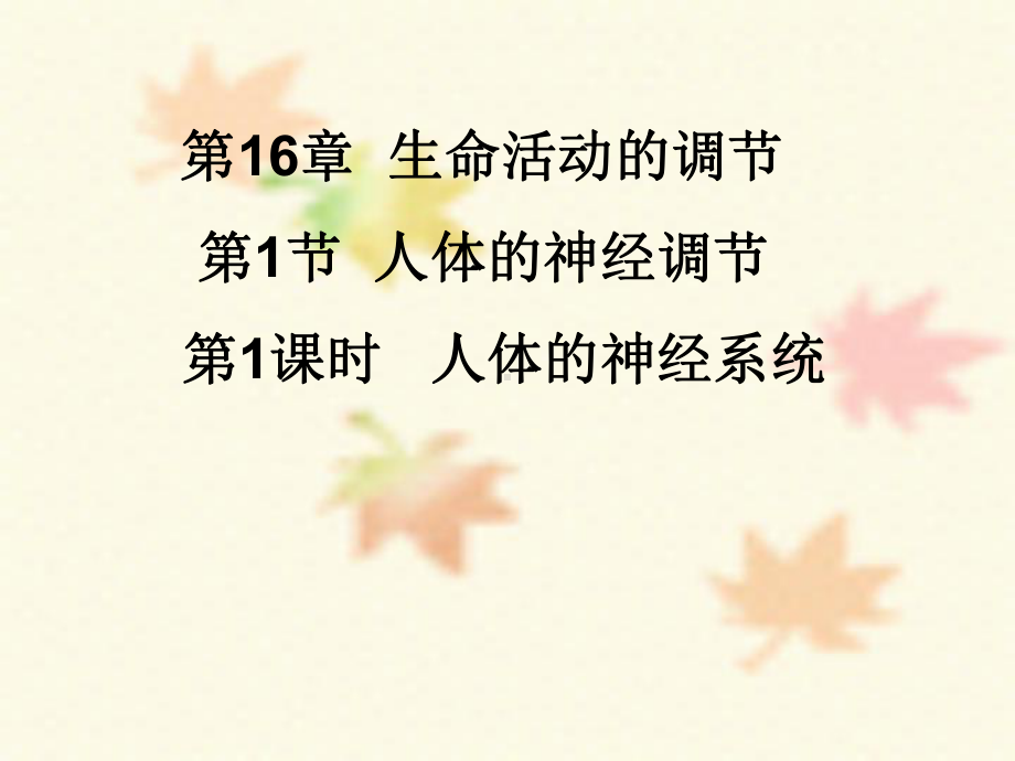 苏科版生物八年级上册6161人体的神经调节-神经系统-课件(共19张).ppt_第1页