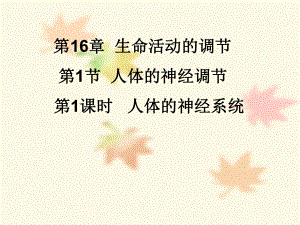 苏科版生物八年级上册6161人体的神经调节-神经系统-课件(共19张).ppt